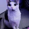 goawayapologygrl Altpins Profile Picture