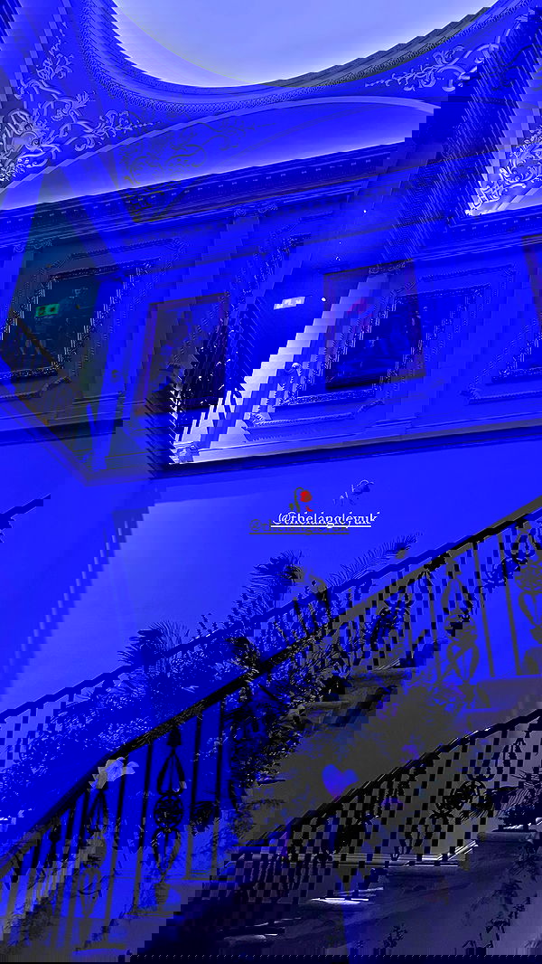 taylor.creeden taylor.creeden archive image