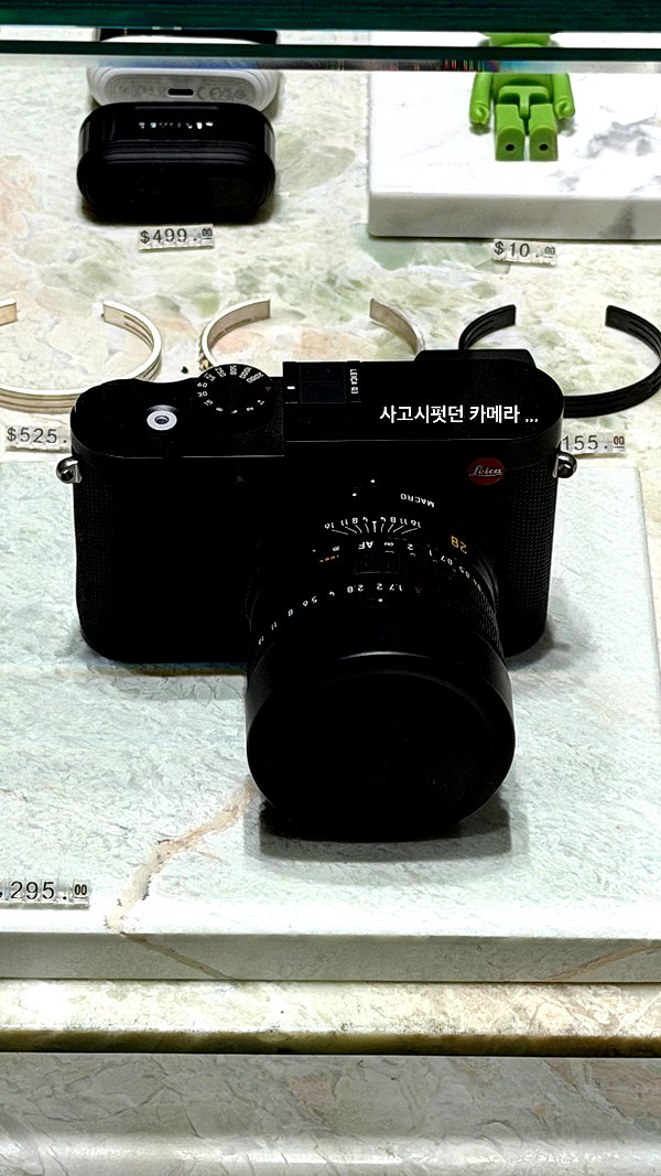 daxbin instagram image archive image