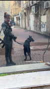 orman.mariee Altpins Profile Picture