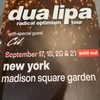 dualipa Altpins Profile Picture