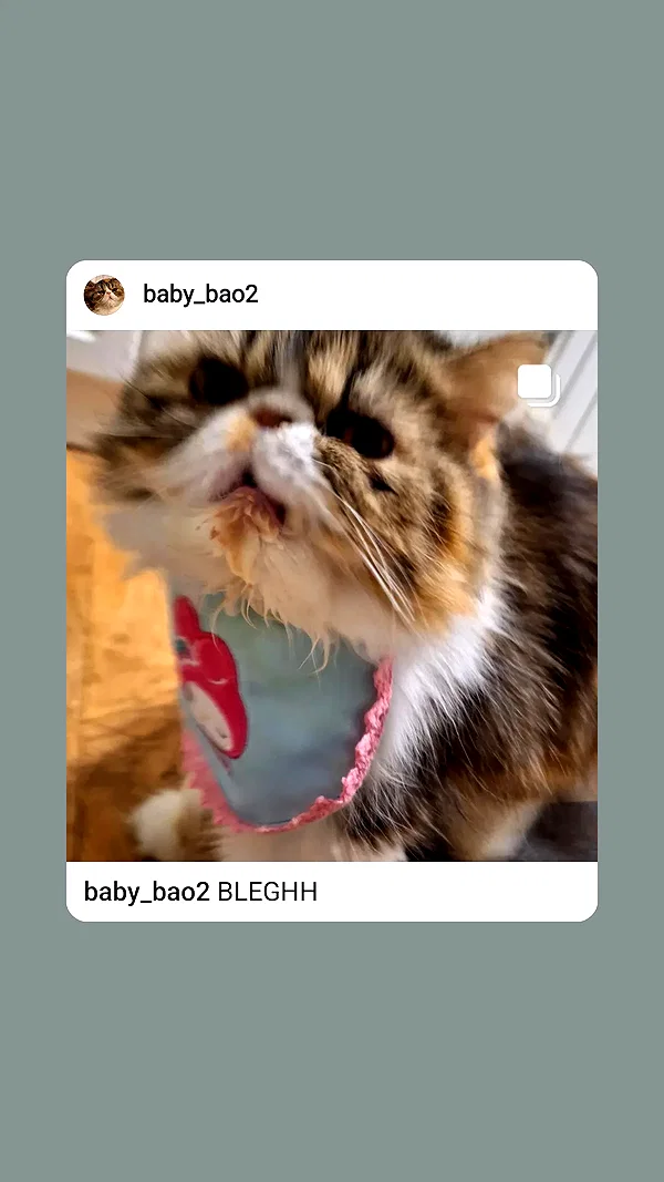 mirekyarahire instagram image archive image