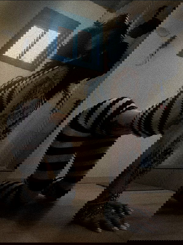 zommmbri zommmbri archive image