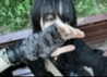 h1k21k0m0r1 Altpins Profile Picture