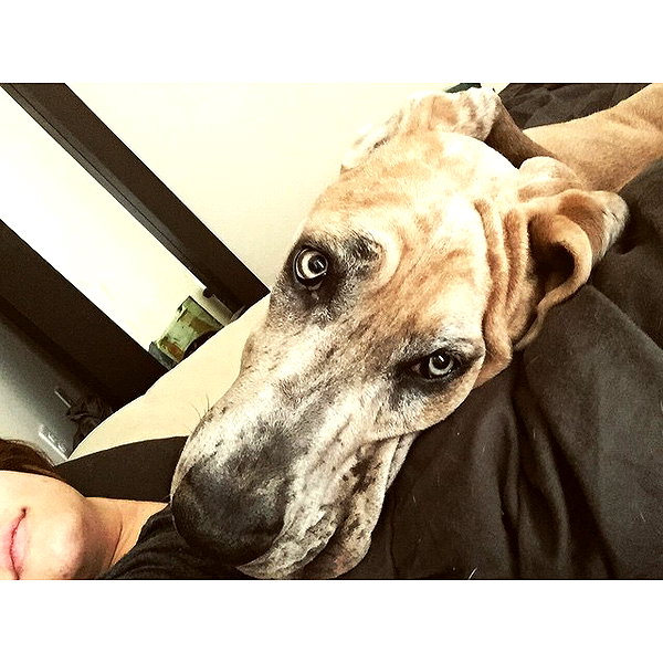 sashapieterse instagram image archive image