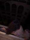 jasminxie2 Altpins Profile Picture