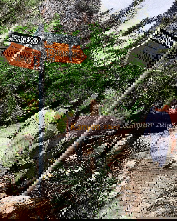 kkulakovaa image ~ Altpins