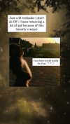 elsiearaujoo Altpins Profile Picture