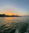 mishel_d_ Altpins Profile Picture