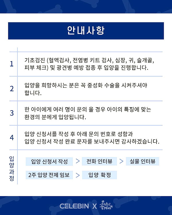 daxbin instagram image archive image