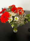 lior_levrun Altpins Profile Picture