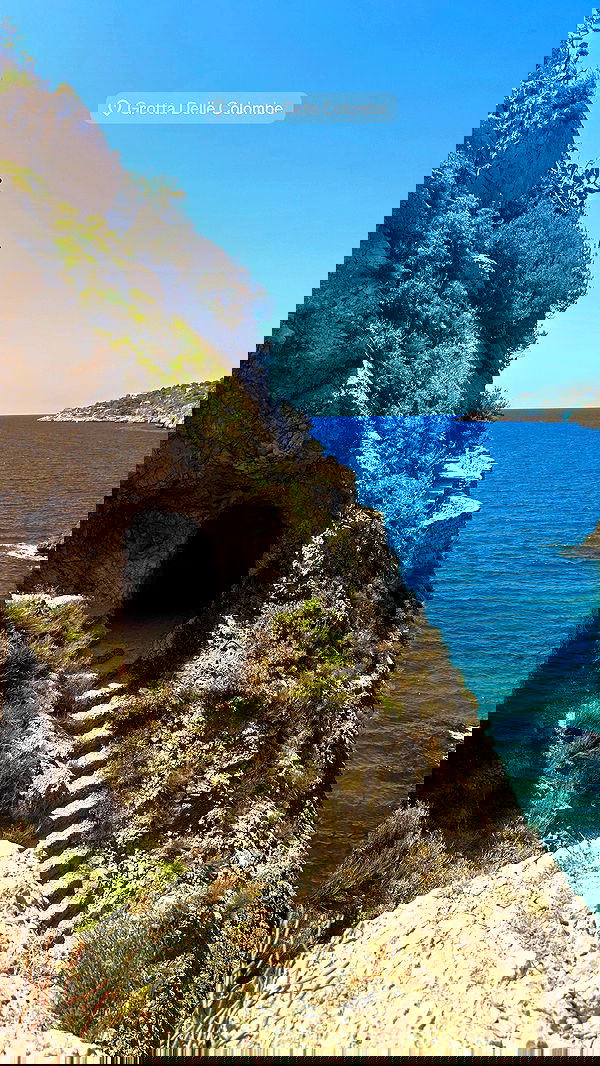 taylor.creeden taylor.creeden archive image