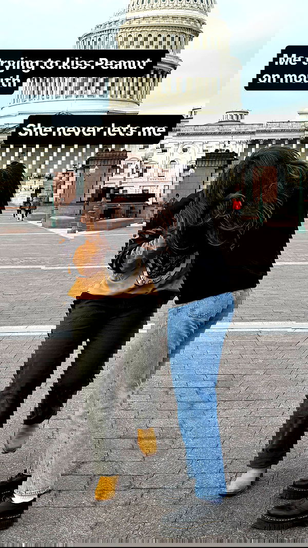 haylujan haylujan archive image