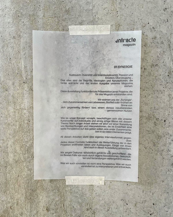 ninastodden archive image
