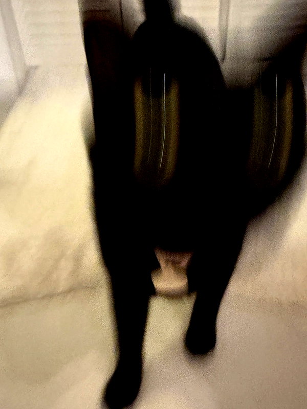 peachtoot.plz instagram image archive image