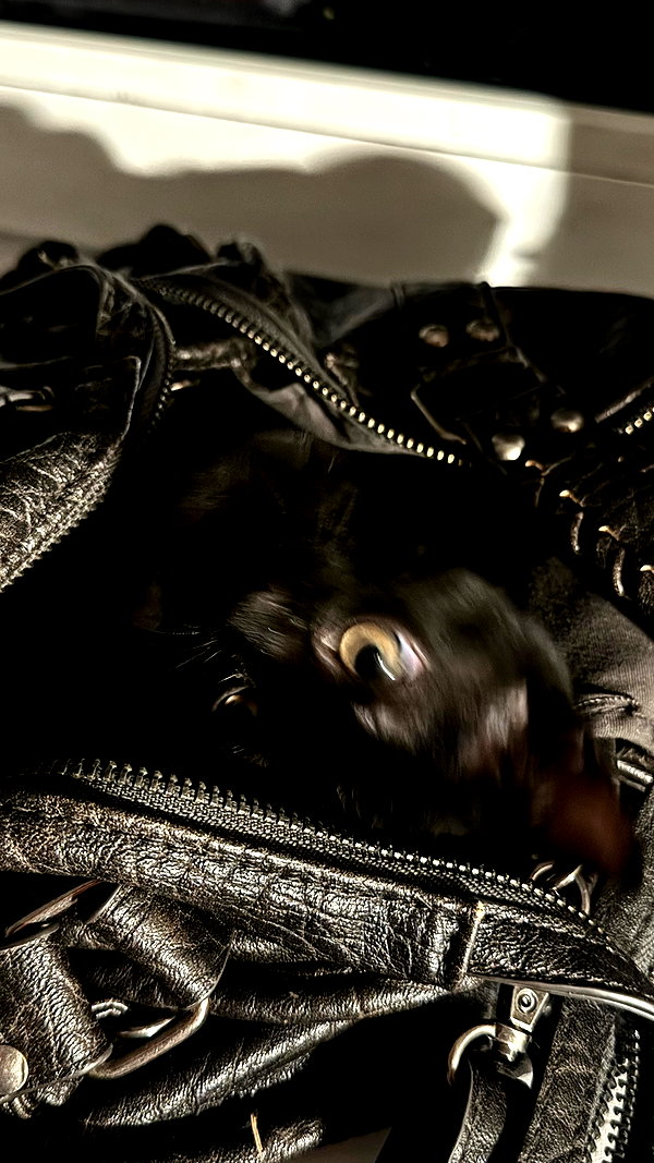 meiiisame archive image