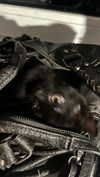 meiiisame Altpins Profile Picture