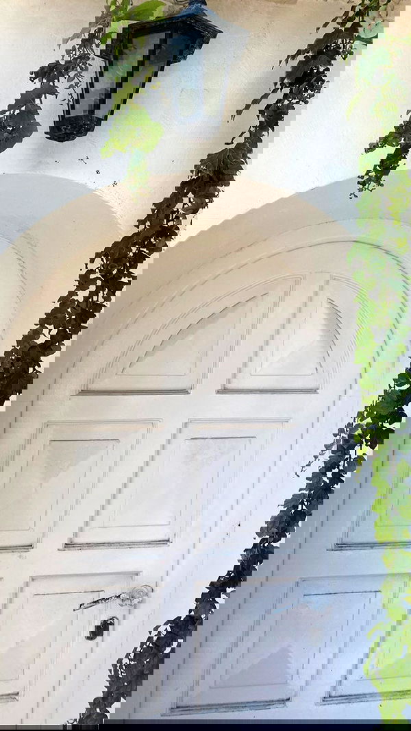 taylor.creeden taylor.creeden archive image