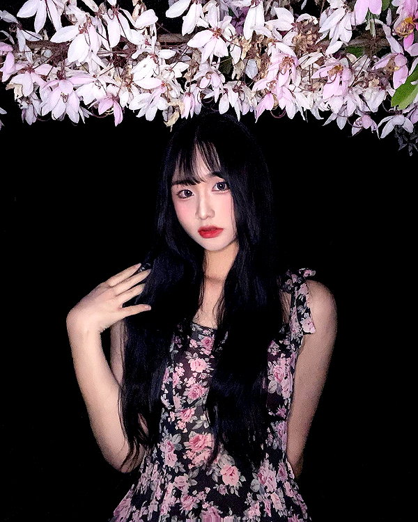 lai_931201 instagram image archive image