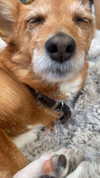 bat.wiings Altpins Profile Picture