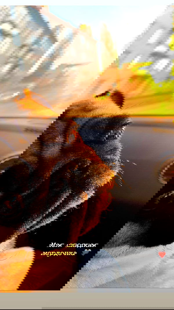 nyityam nyityam archive image