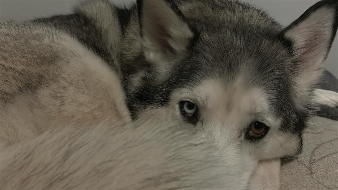 _animechika_ instagram image archive image