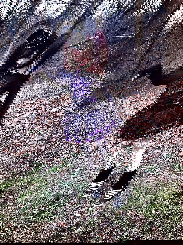 twodollie twodollie archive image