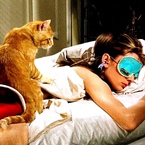 ashleybenson instagram image archive image