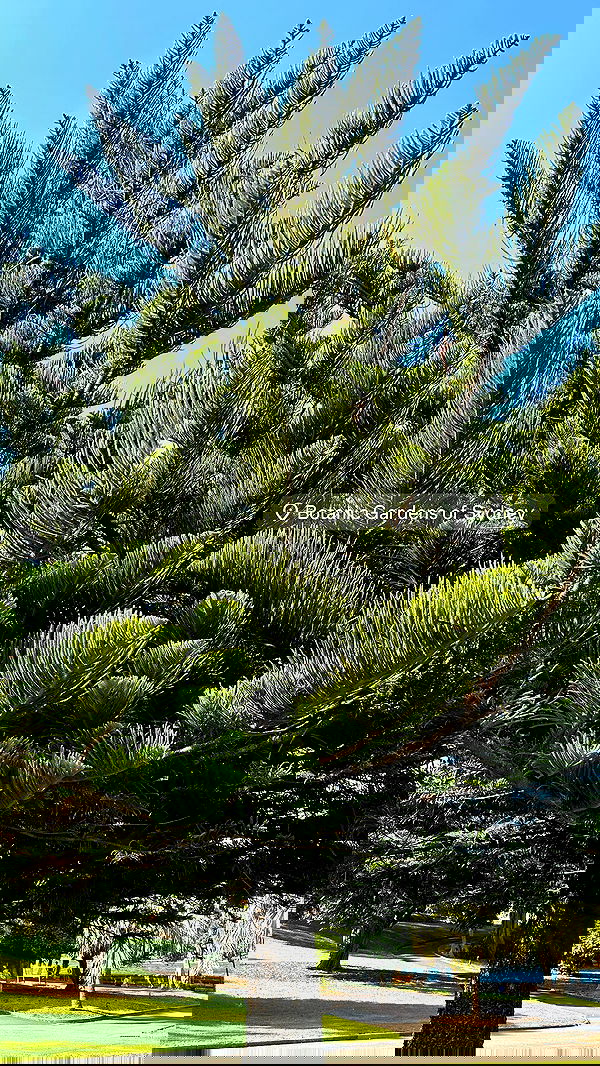 taylor.creeden taylor.creeden archive image