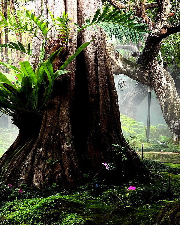 ll.lu1s instagram image archive image