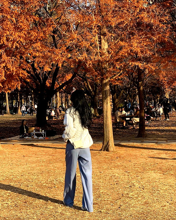 daxbin instagram image archive image