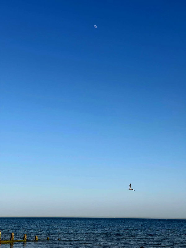 777pb_ archive image