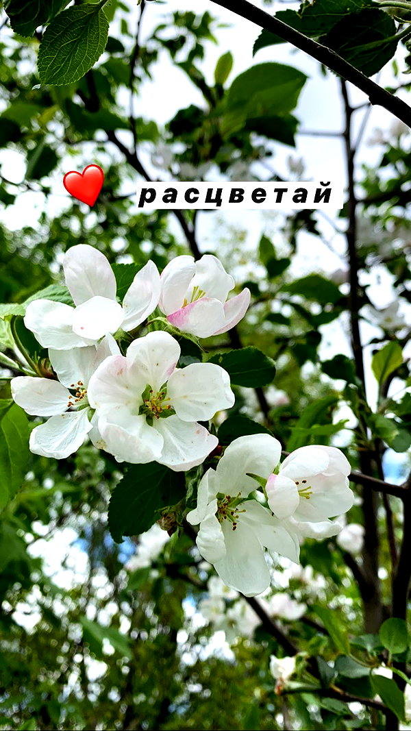 nyiityam instagram image archive image