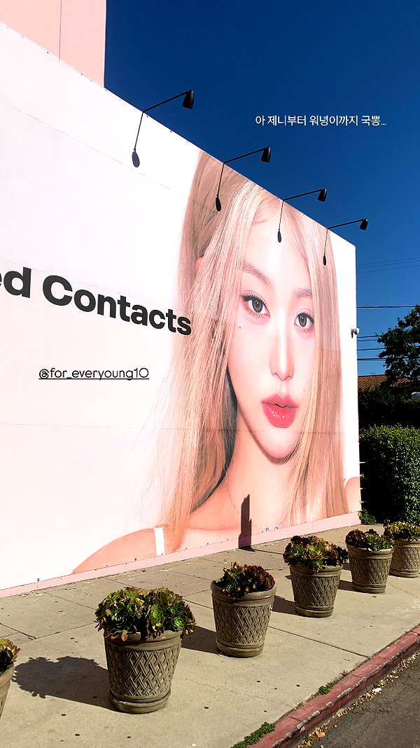 daxbin instagram image archive image