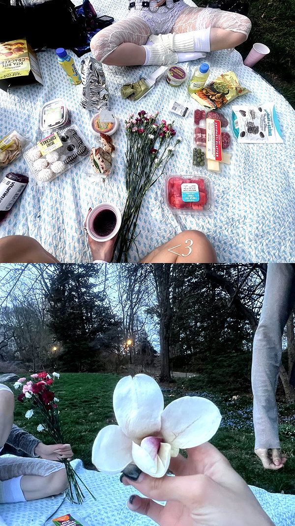 imnotsevven instagram image archive image