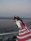 yuyuslivestreamdiary Altpins Profile Picture