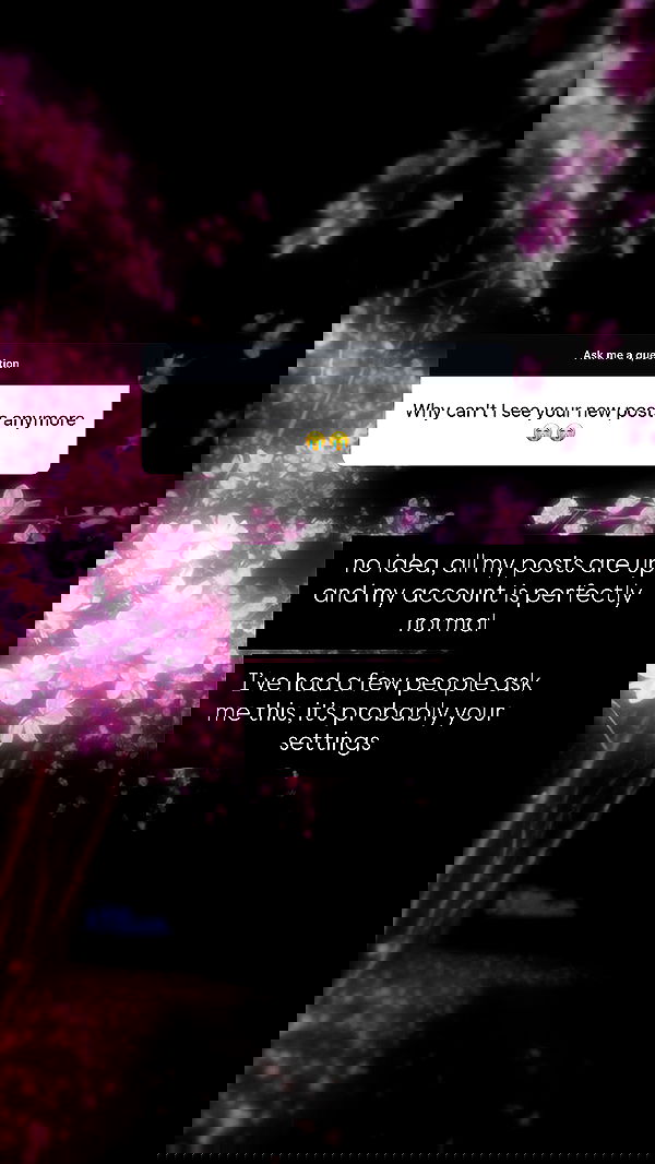 katanires katanires archive image