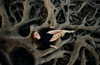 orman.mariee Altpins Profile Picture
