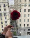 hilla.sela Altpins Profile Picture