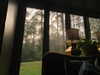 elizabethcampbelljones Altpins Profile Picture