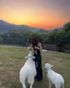 ll.lu1s Altpins Profile Picture