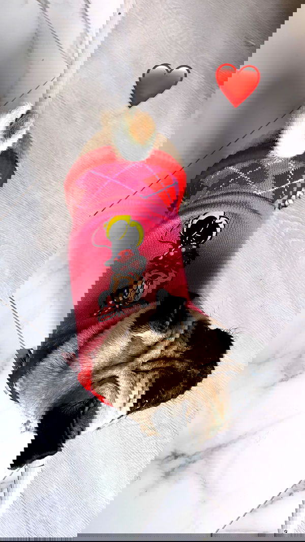 nyityam nyityam archive image