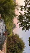 hadas_mayer_ Altpins Profile Picture