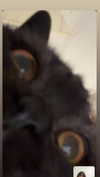 dante_yangpa Altpins Profile Picture