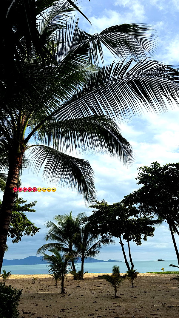 maya.keyy archive image
