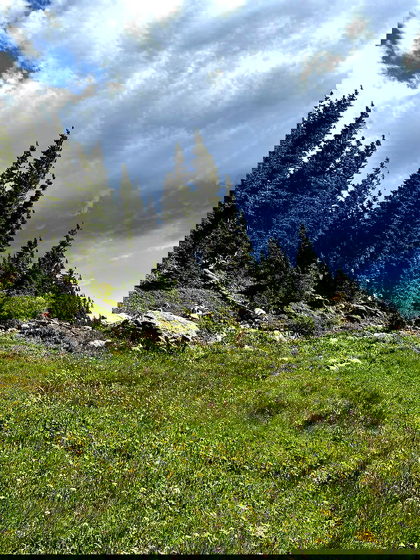 thelizzyporter thelizzyporter archive image