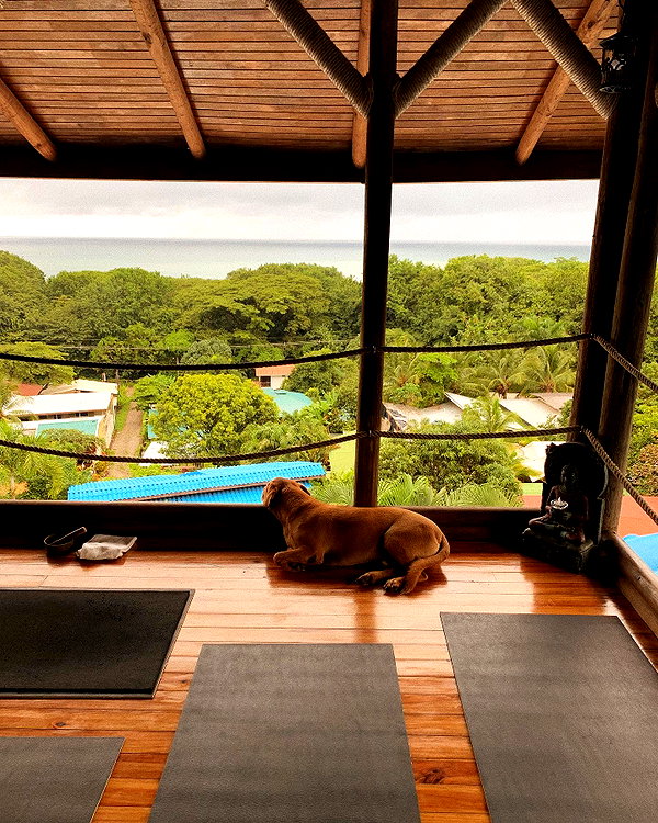 pia__kim instagram image archive image