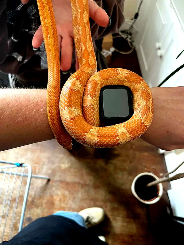 charley.chambers instagram image archive image