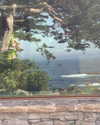 alexconsani Altpins Profile Picture