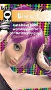 imskirby Altpins Profile Picture